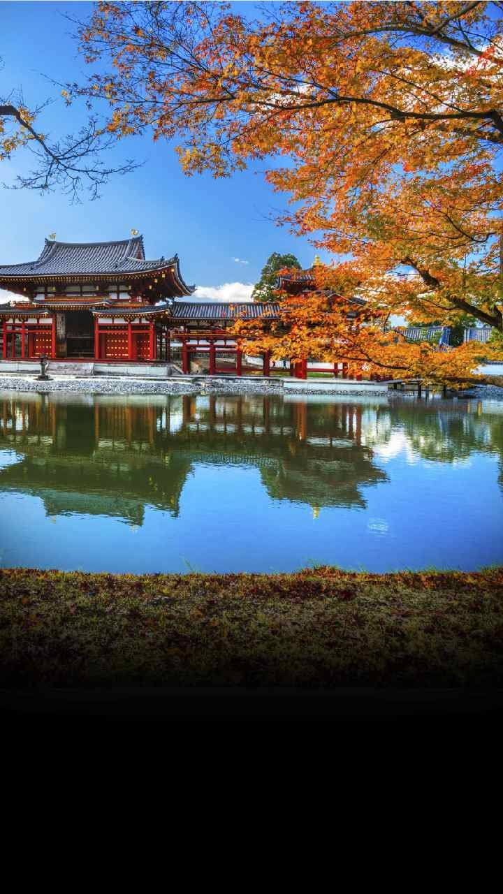 These 7 places are best to visit in Japan - News24 Hindi